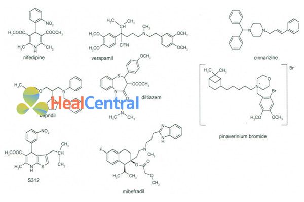 Cấu trúc hóa học của đại diện các họ chính của thuốc chẹn kênh calci