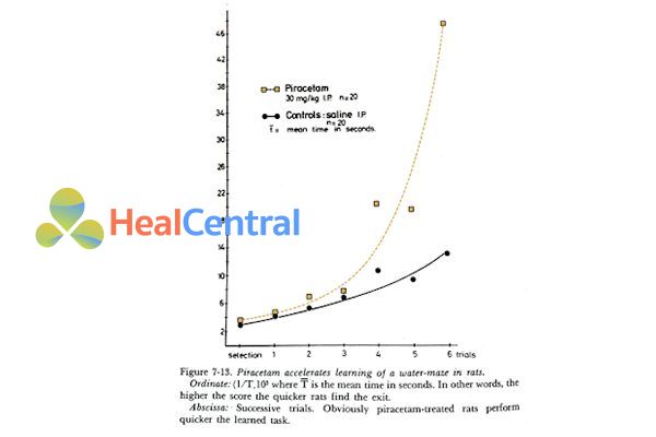 Chuột đã học được cách thoát khỏi mê cung nước nhanh hơn nhiều khi dùng piracetam