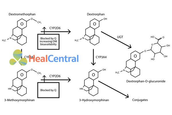 Con đường chuyển hóa dextromethorphan.