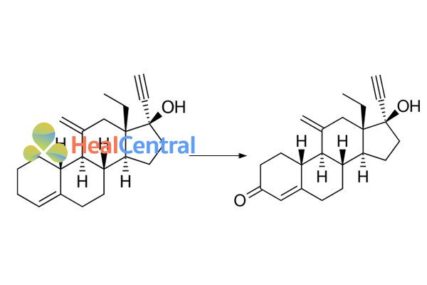 Desogestrel chuyển hóa thành Etonogestrel