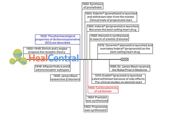 Quá trình phát triển các thuốc chẹn β-adrenergic.