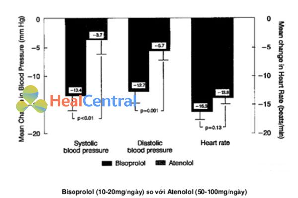 So sánh bisoprolol với atenolol cho thấy bisoprolol làm giảm đáng kể huyết áp tâm thu, huyết áp tâm trương và nhịp tim so với atenolol (theo thứ tự lần lượt P < 0.01, P = 0.001 và P = 0.13).