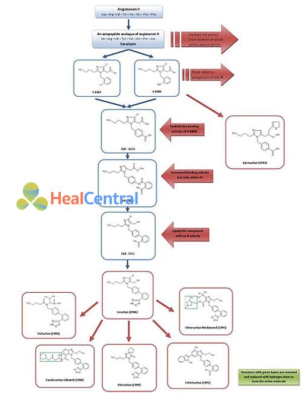 Sự phát triển các thuốc nhóm ARBs.