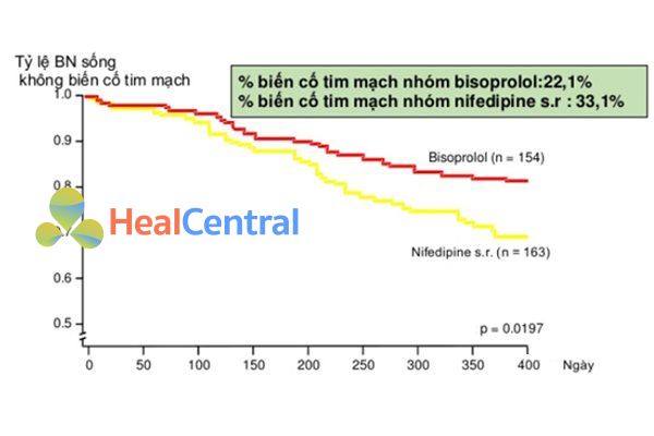 Tỉ lệ bệnh nhân sống không có biến cố tim mạch ở nhóm bisoprolol cao hơn nhóm nifedipine SR (P = 0.0197). Nhóm bisoprolol có biến cố tim mạch thấp hơn nhóm nifedipine SR (22.1% vs. 33.1%).