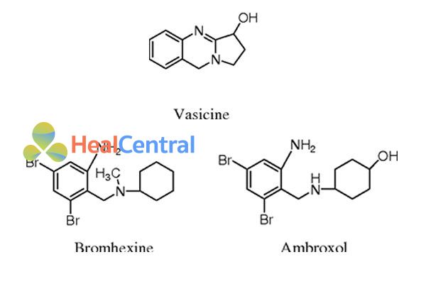 Vasicine và các dẫn xuất bán tổng hợp của nó.