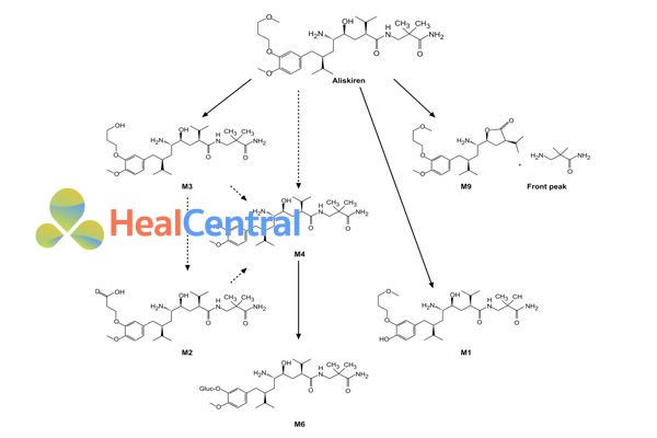 Chuyển hóa Aliskiren