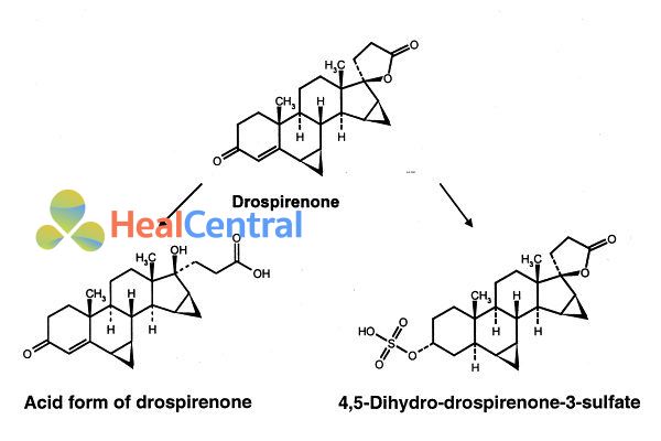 Chuyển hóa Drospirenone