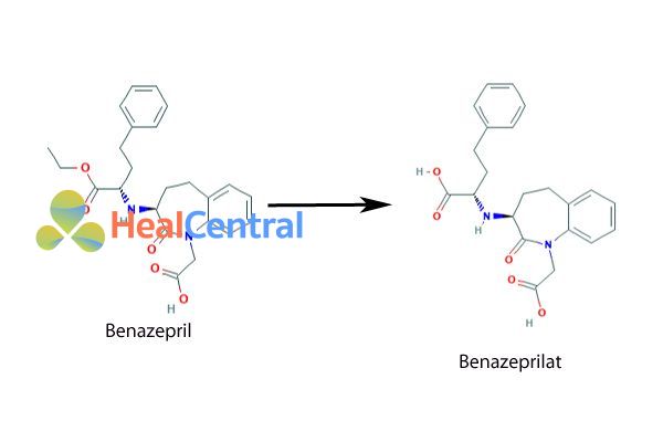Chuyển hóa benazepril