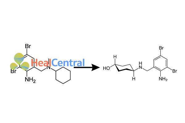 Chuyển hóa Bromhexine thành Ambroxol