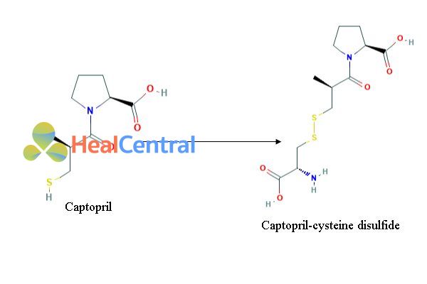 Chuyển hóa captopril