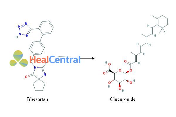 Chuyển hóa của irbesartan 