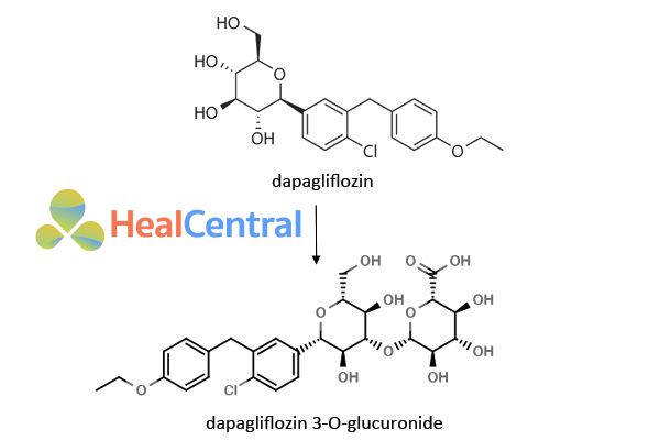 Chuyển hóa Dapagliflozin