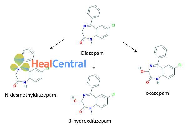 Chuyển hóa Diazepam