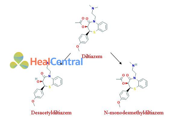 Chuyển hóa Diltiazem