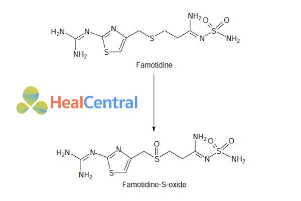 Chuyển hóa Famotidine