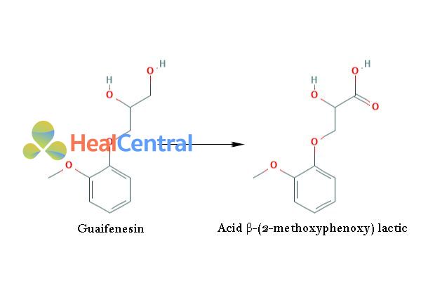 Chuyển hóa Guaifenesin