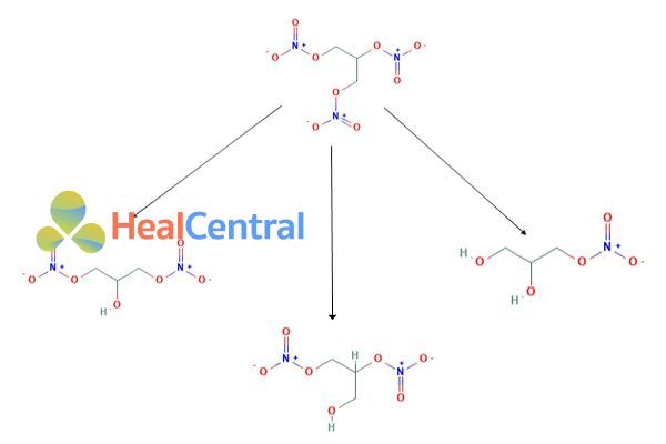 Chuyển hóa Nitroglycerin