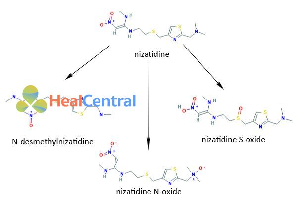 Chuyển hóa Nizatidine