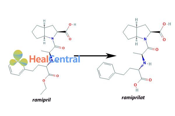 Chuyển hóa Ramipril