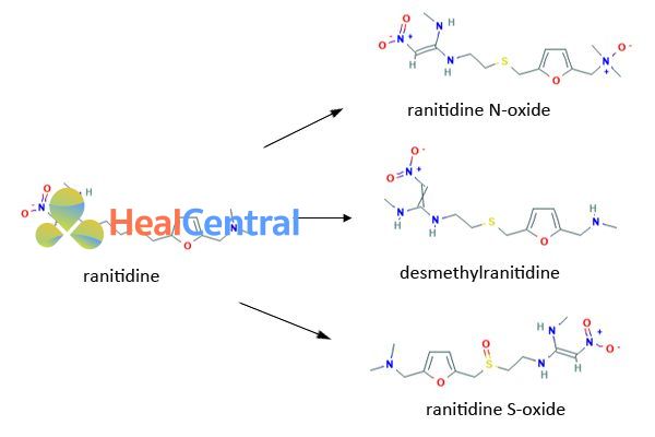 Chuyển hóa của Ranitidine