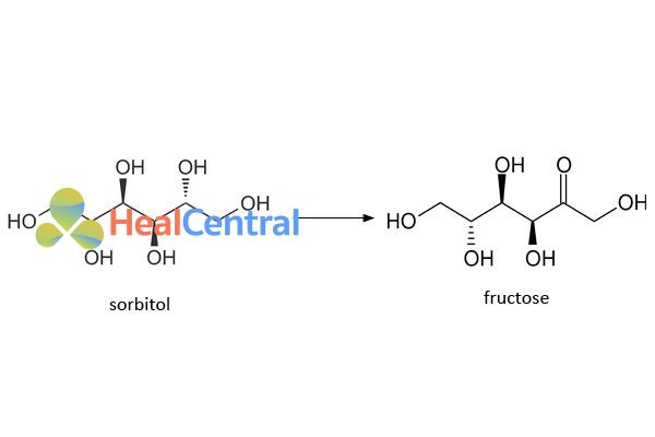 Chuyển hóa Sorbitol