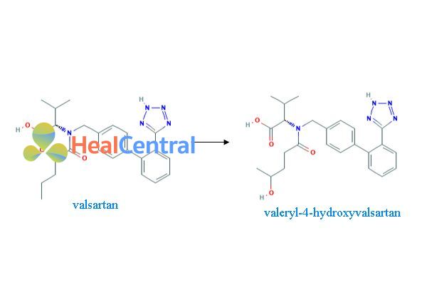 Chuyển hóa Valsartan