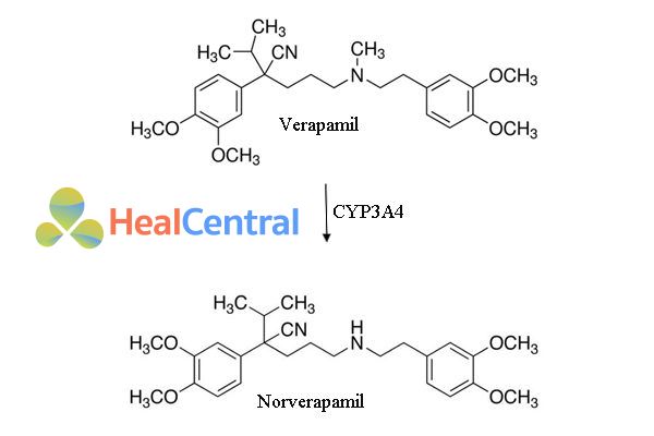 Chuyển hóa Verapamil