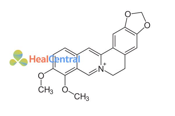 Cấu trúc hóa học của berberine.