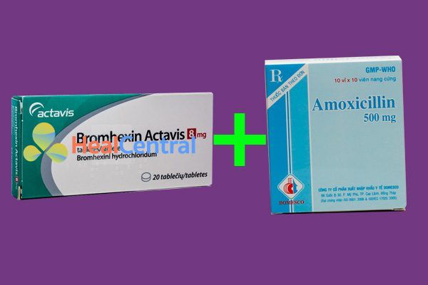 Kết hợp thuốc Bromhexin và Amoxicillin