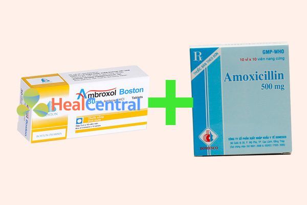 Phối hợp ambroxol và amoxicillin