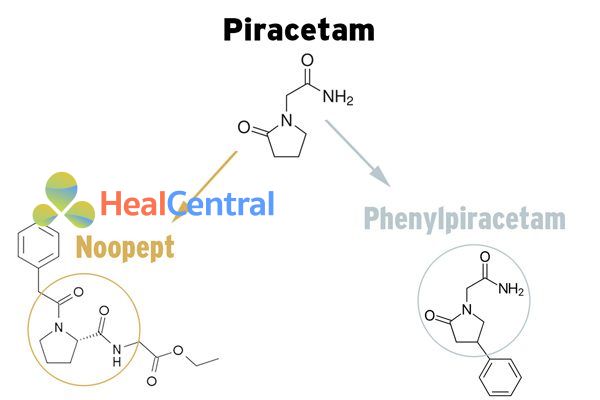  Piracetam tổng hợp thànhnoopept và phenylpiracetam