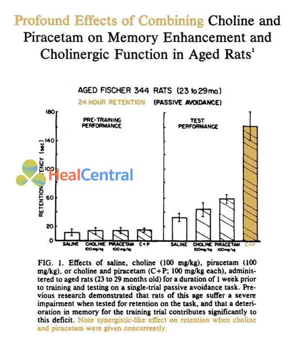 Kết hợp Choline và Piracetam