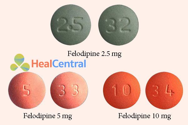 Thuốc Felodipine 2.5mg, 5mg, 10mg