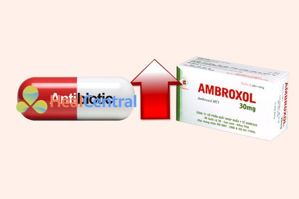 Tương tác thuốc ambroxol và khang_sinh 