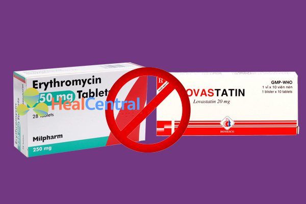 Tương tác thuốc Erythromycin và lovastatin