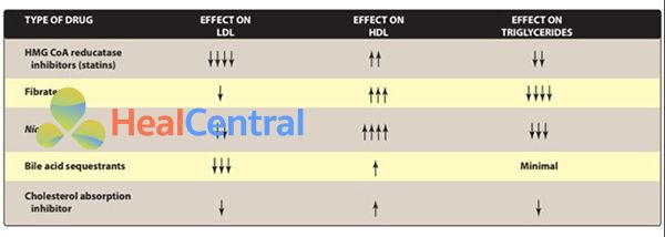 Đặc điểm các thuốc hạ lipid máu