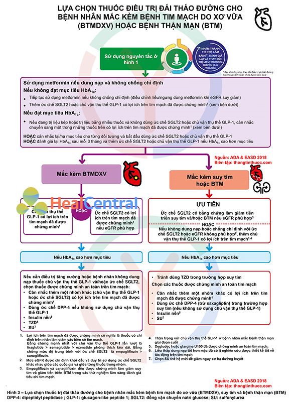  Lựa chọn thuốc đái tháo đường theo ADA 2018