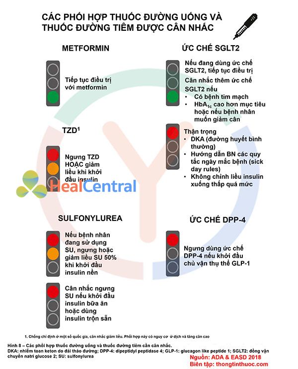 Phối hợp thuốc Đái tháo đường