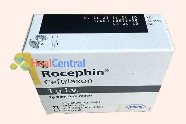 Thuốc kháng sinh Rocephin 1g là sản phẩm của Công ty F.Hoffmann-La Roche., Ltd - THỤY SĨ