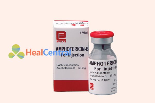 Amphotericin B