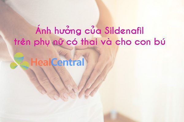 Ảnh hướng của Sildenafil trên đối tượng đặc biệt