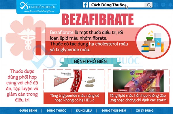 Hướng dẫn sử dụng thuốc bezafibrate 1