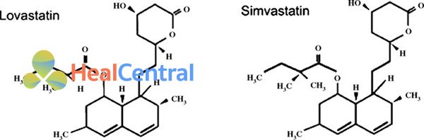 Cấu trúc hóa học của Simvastatin và Lovastatin