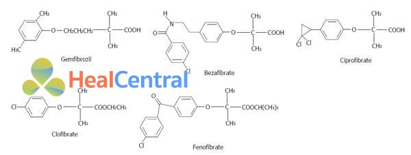 Cấu trúc hóa học một số Fibrates