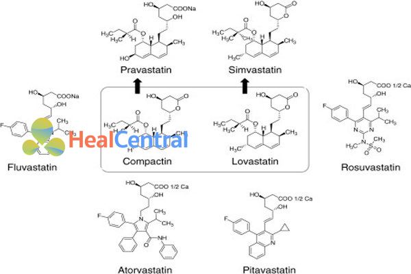 Compactin và các statin được thương mại hóa