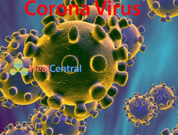 Image result for Virus corona