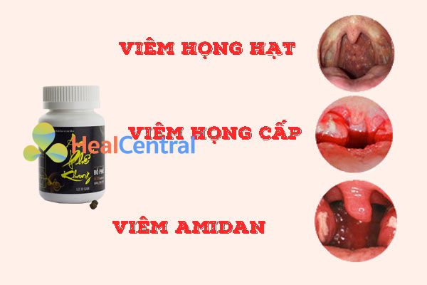 Đối tượng sử dụng thuốc An phế Khang