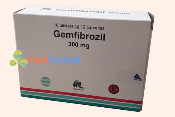 Thuốc Gemfibrozil 300