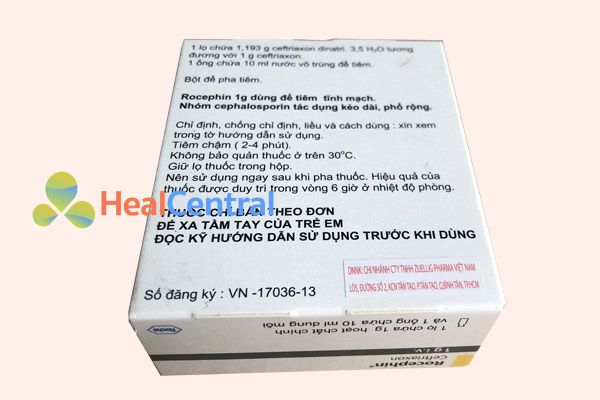 Mặt sau của thuốc Rocephin 1g