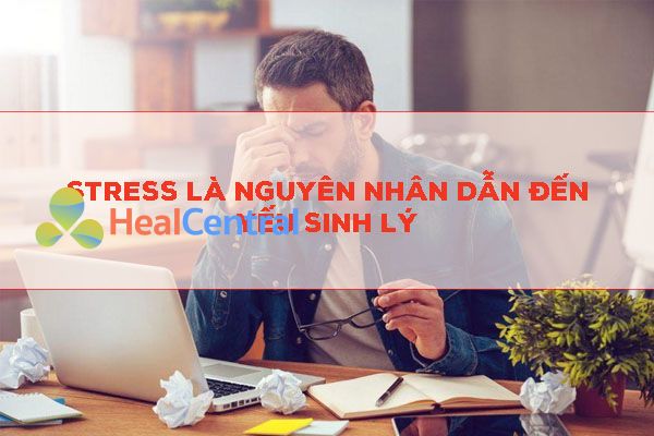 Stress là nguyên nhân gây yếu sinh lý